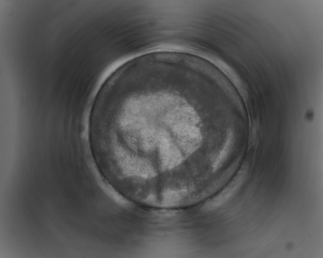 X0000101120862200807171958