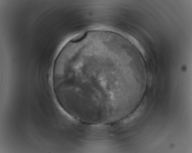X0000101120863200807171958