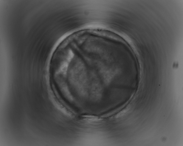 X0000101120864200807171958