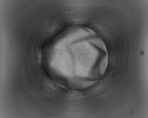 X0000101120866200807171957
