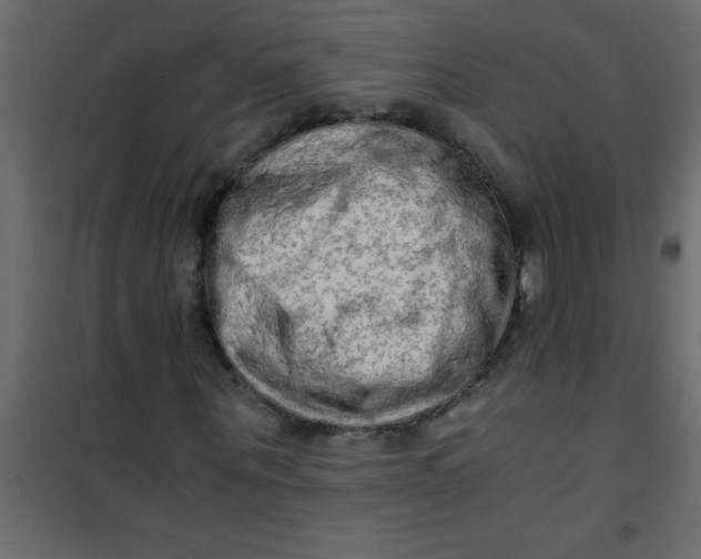 X0000101120867200807171957