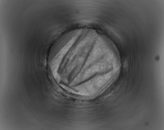 X0000101120868200807171957