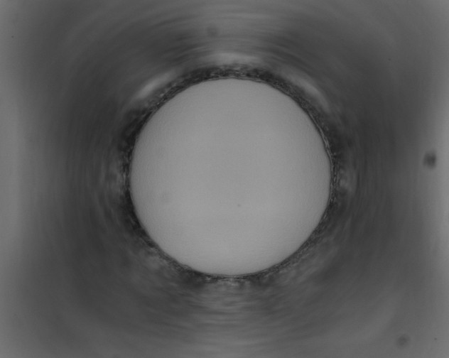 X0000101120869200807171957