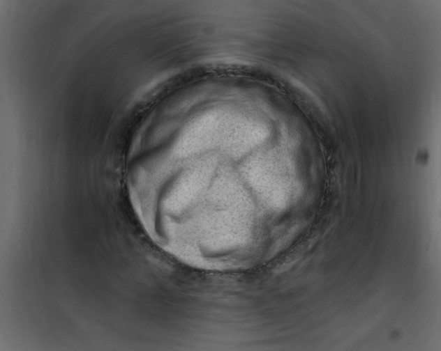 X0000101120870200807171957