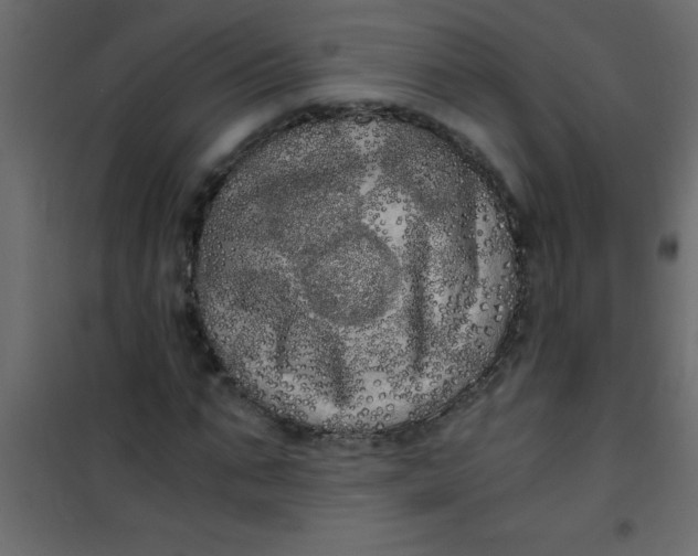 X0000101120871200807171957