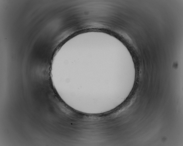 X0000101120873200807171957