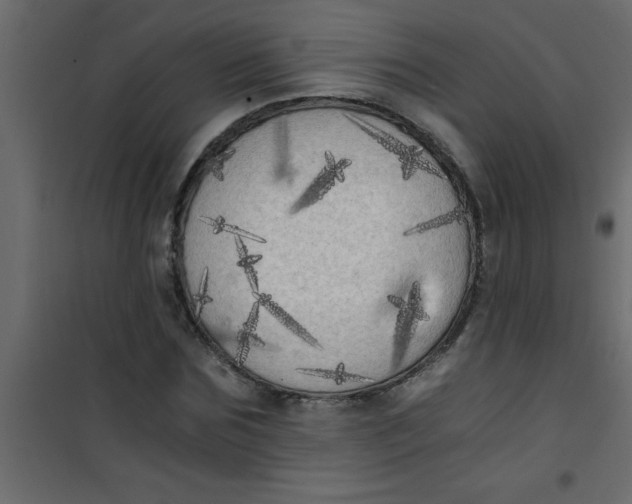 X0000101120875200807171957