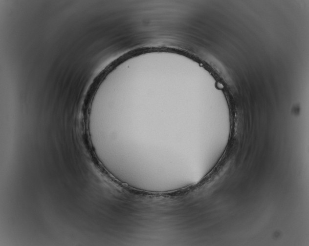 X0000101120876200807171957