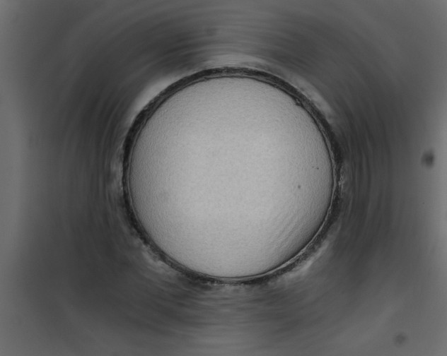 X0000101120877200807171957