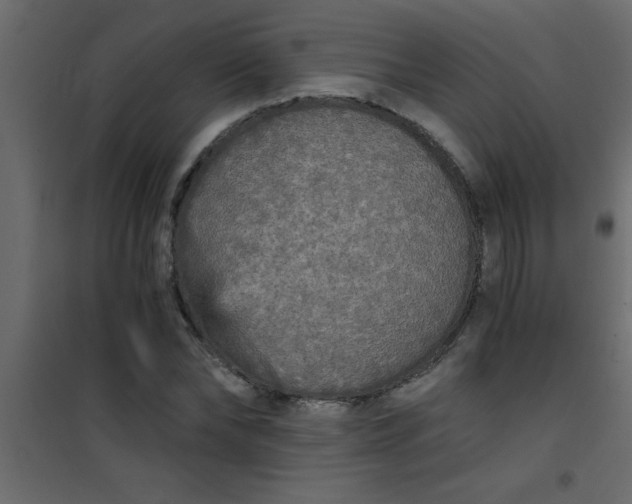 X0000101120878200807171957