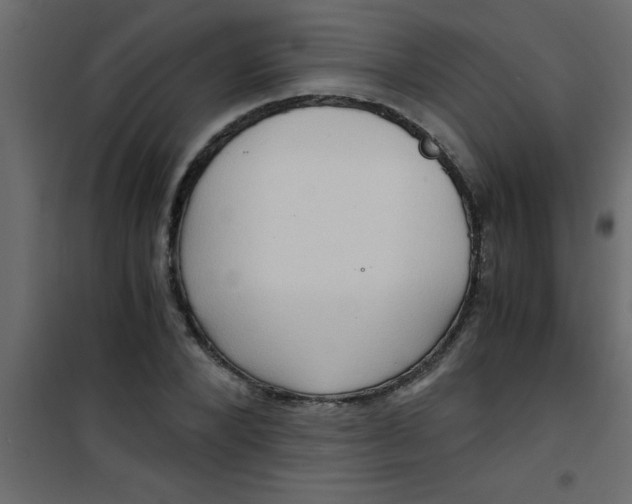 X0000101120880200807171957