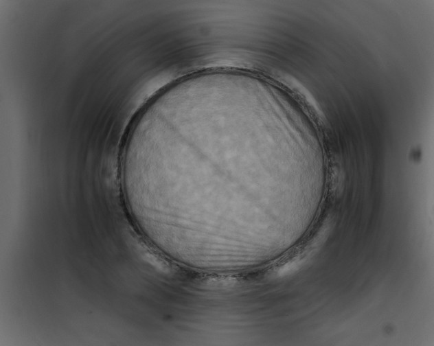X0000101120882200807171957