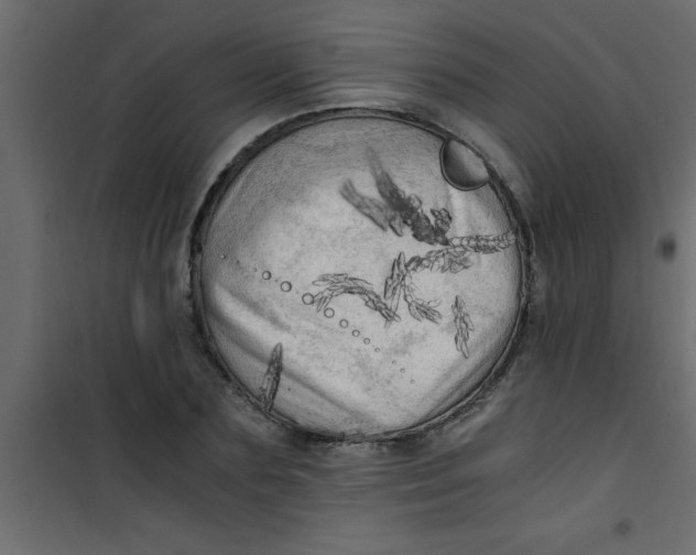 X0000101120883200807171957