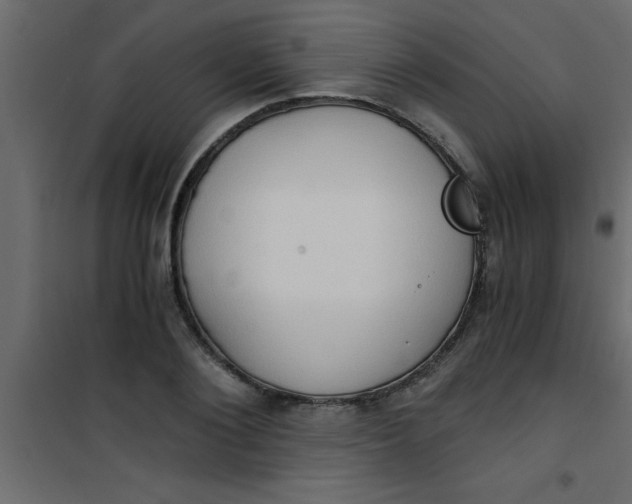 X0000101120884200807171957