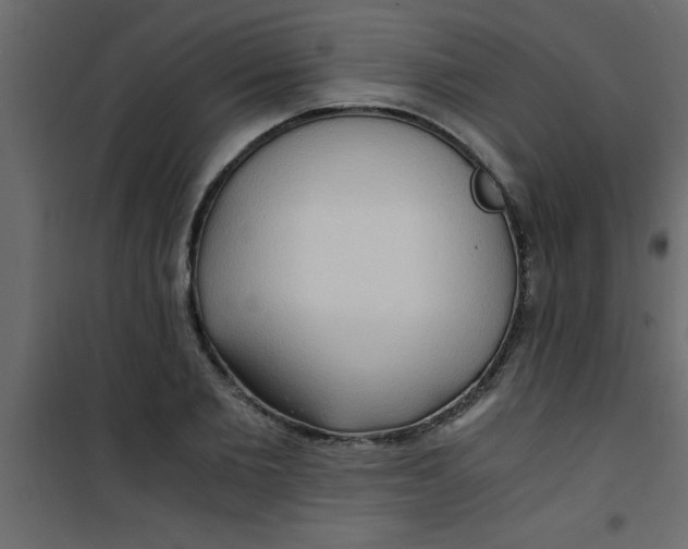 X0000101120885200807171957