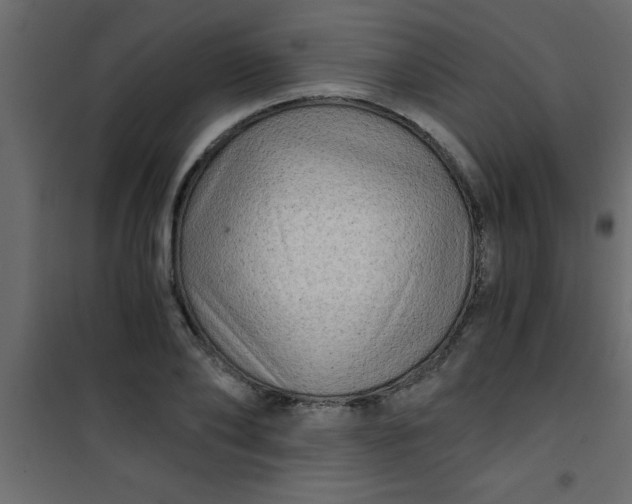 X0000101120886200807171957