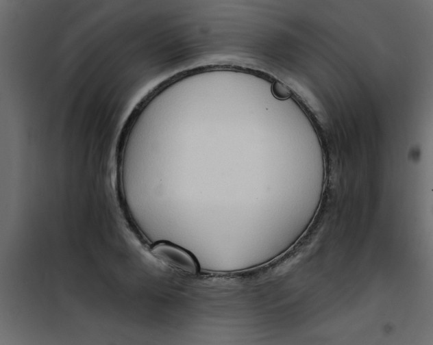 X0000101120888200807171957