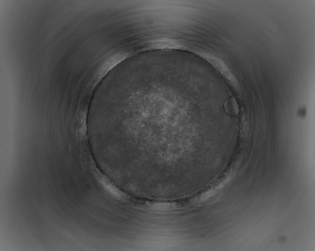 X0000101120889200807171957