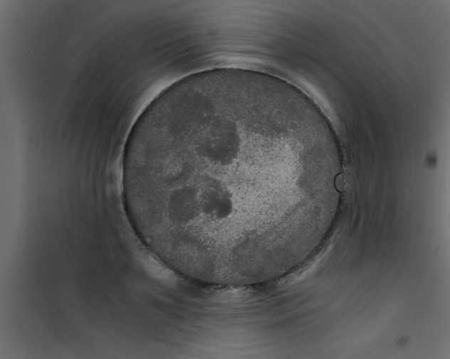 X0000101120891200807171957