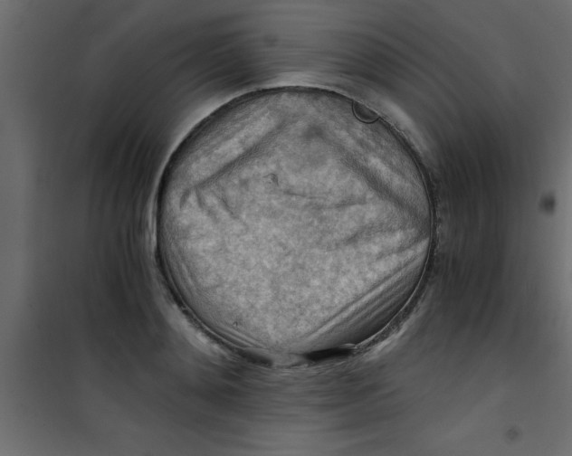 X0000101120892200807171957