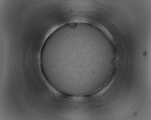 X0000101120893200807171957