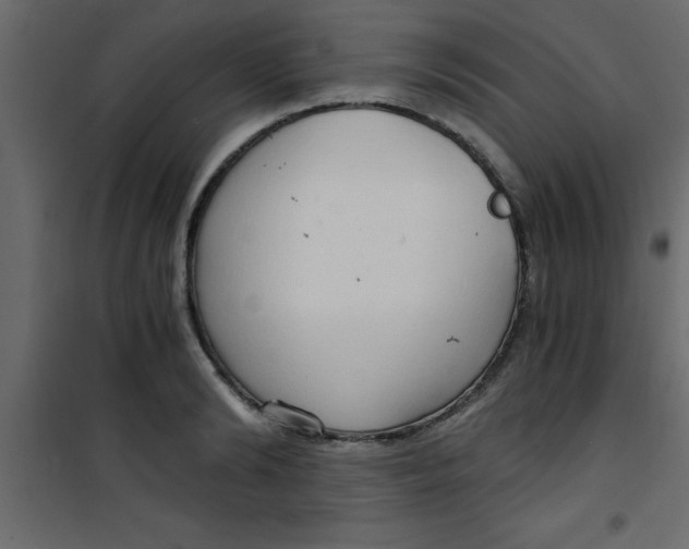 X0000101120894200807171957