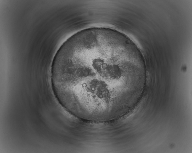 X0000101120895200807171957