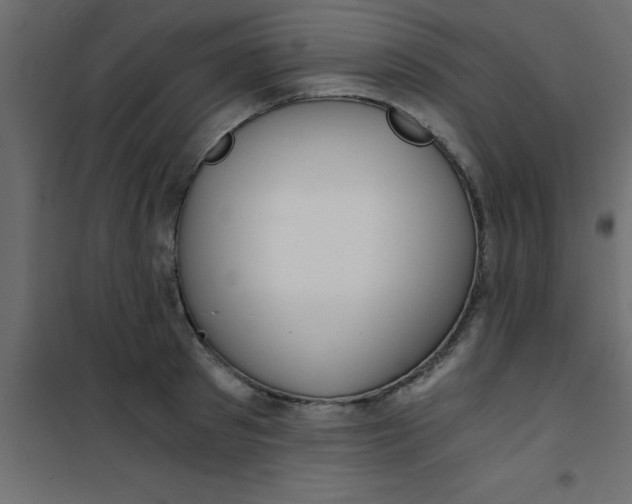X0000101120897200807171957