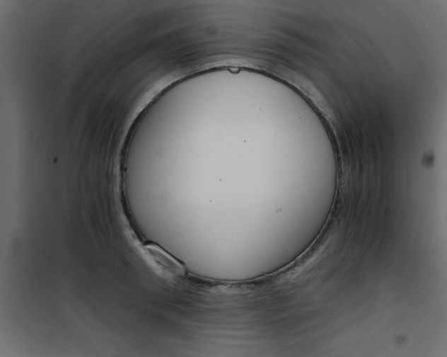 X0000101120898200807171957