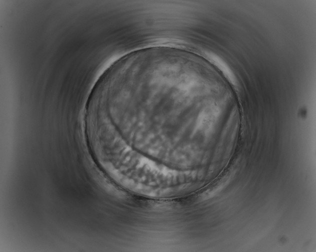 X0000101120899200807171957
