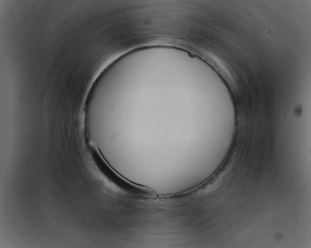 X0000101120900200807171957