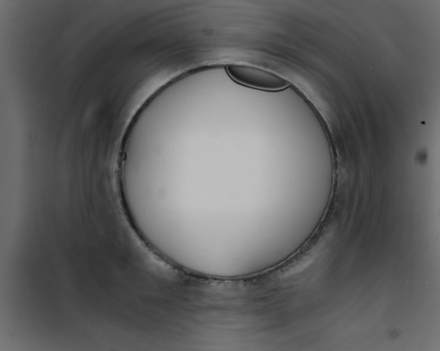 X0000101120901200807171957