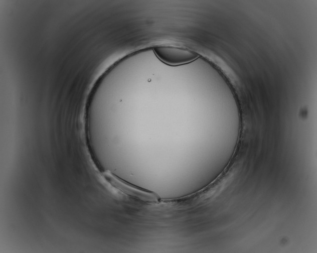 X0000101120902200807171957