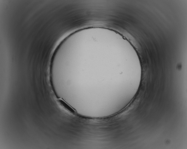 X0000101120904200807171957