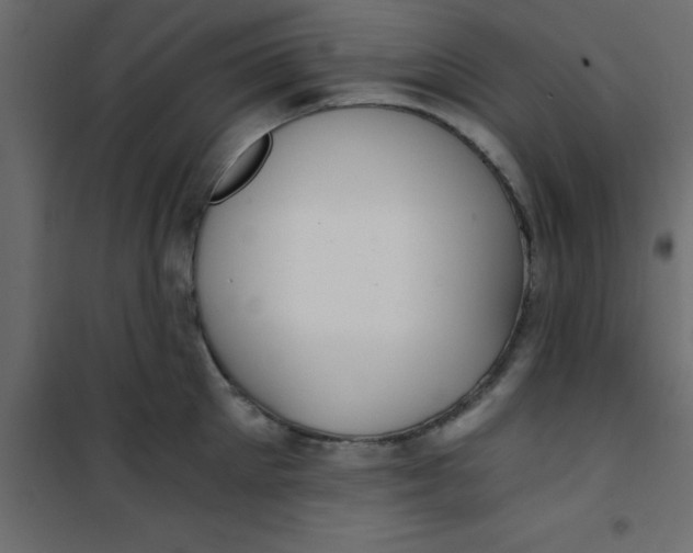 X0000101120905200807171957