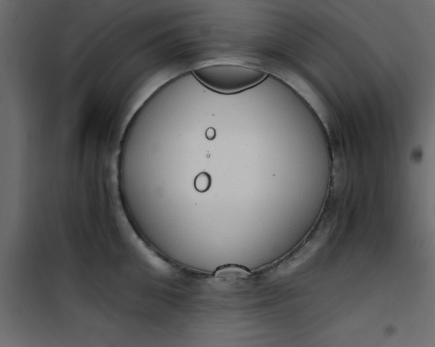X0000101120906200807171957