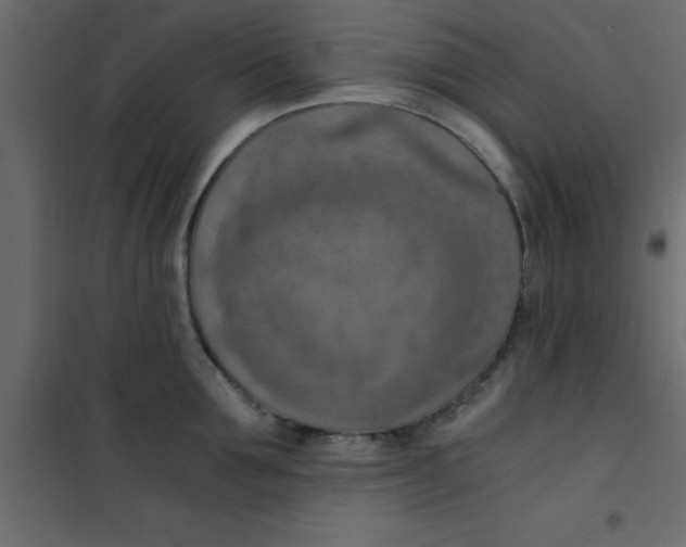X0000101120907200807171957