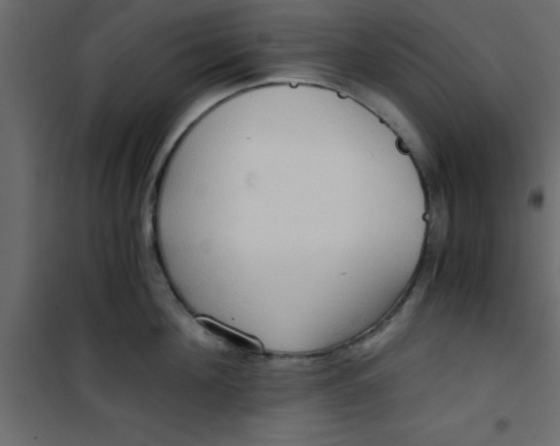 X0000101120908200807171957