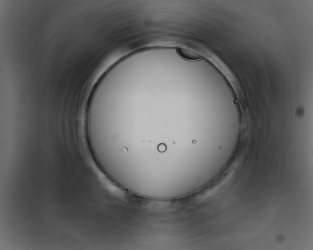 X0000101120909200807171957