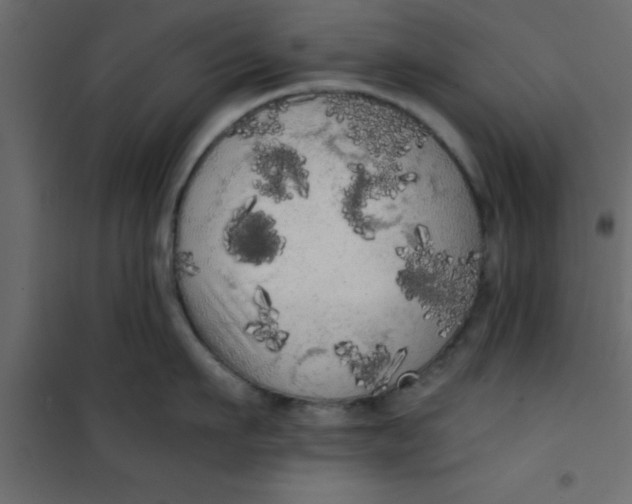 X0000101120911200807171957