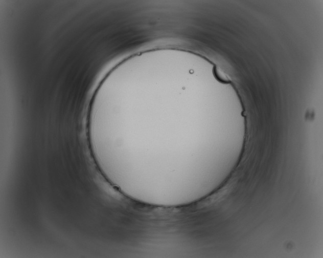 X0000101120912200807171957