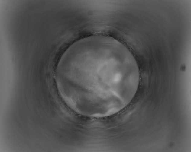 X0000101120913200807171956