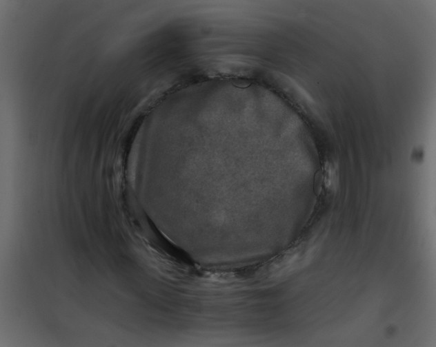 X0000101120915200807171956