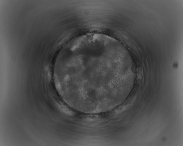 X0000101120916200807171956