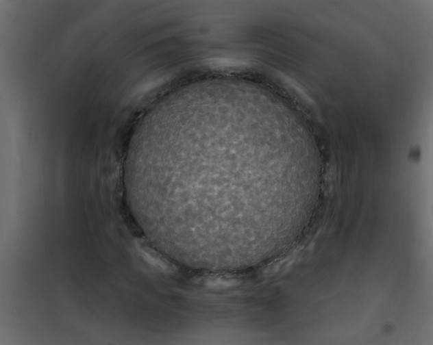 X0000101120917200807171956