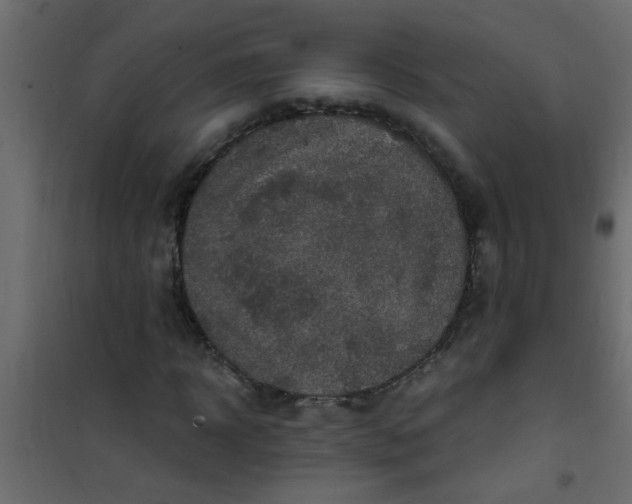 X0000101120918200807171956