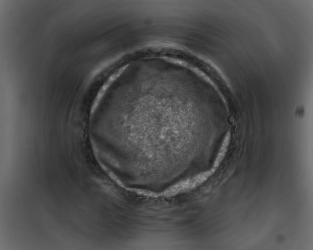 X0000101120919200807171956