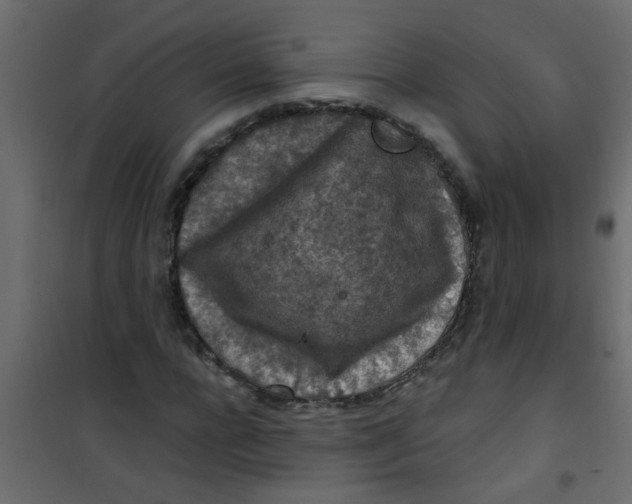 X0000101120920200807171956