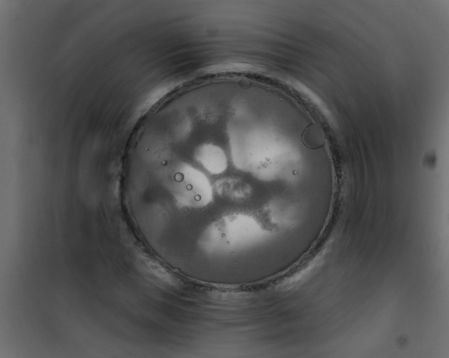 X0000101120921200807171956