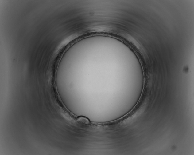 X0000101120922200807171956